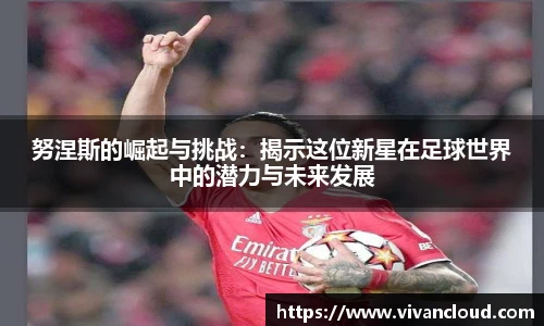 努涅斯的崛起与挑战：揭示这位新星在足球世界中的潜力与未来发展