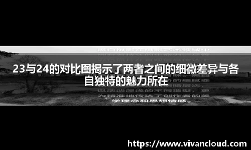 23与24的对比图揭示了两者之间的细微差异与各自独特的魅力所在